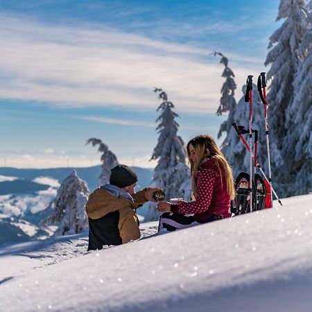 Schwarzwaldhorst 1 Fuer 8 Gaeste In Todtnau, Liftverbund Feldberg Bagian luar foto