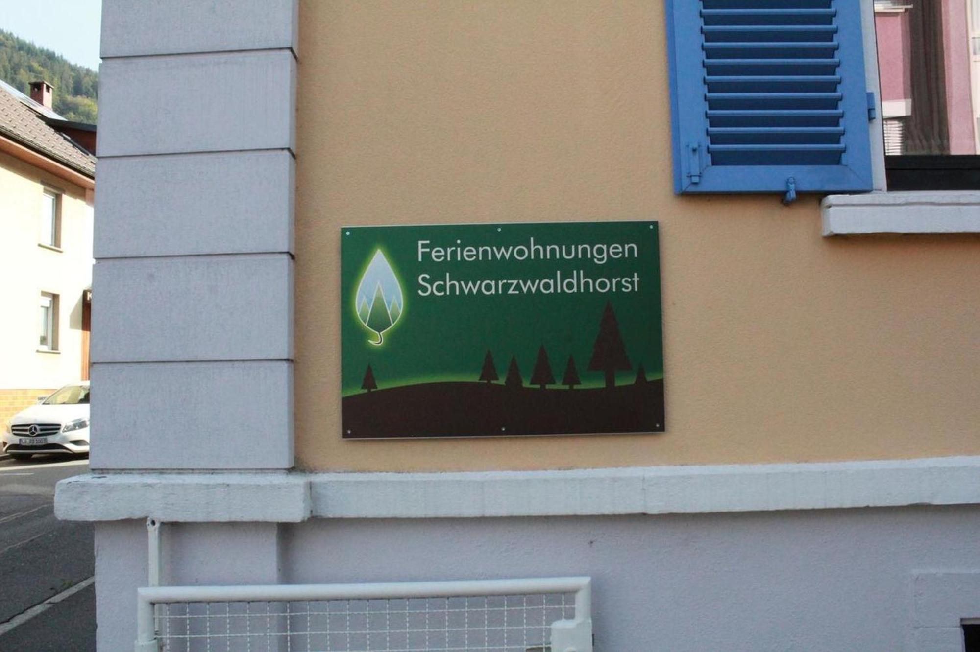 Schwarzwaldhorst 1 Fuer 8 Gaeste In Todtnau, Liftverbund Feldberg Bagian luar foto
